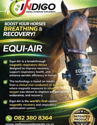 Equi Air - Boost your horses breathing and recovery