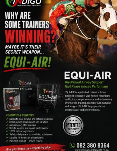 Equi-Air - The natural airway support that keeps horses performing
