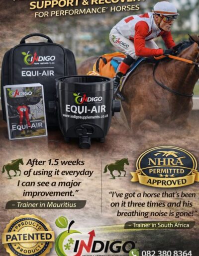 Equi-Air - Advanced respiratory support and recovery for performance horses