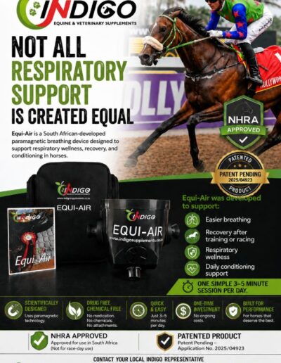 Equi-Air: Not all respiratory support is created equal