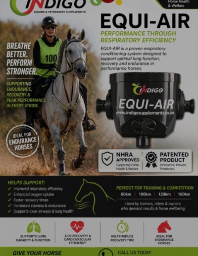 Equi-Air Performance Through Respiratory Efficiency