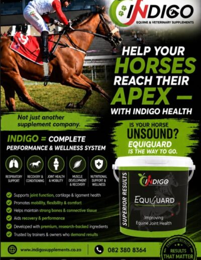Help your horse reach their Apex