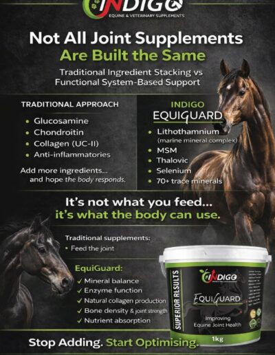 Not All Joint Supplements are Built the Same