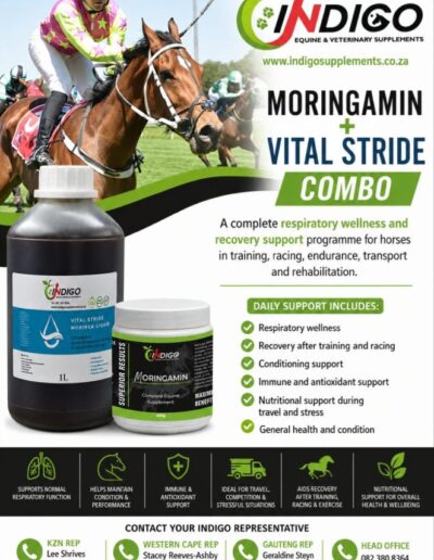Moringamin and Vital Stride Combo